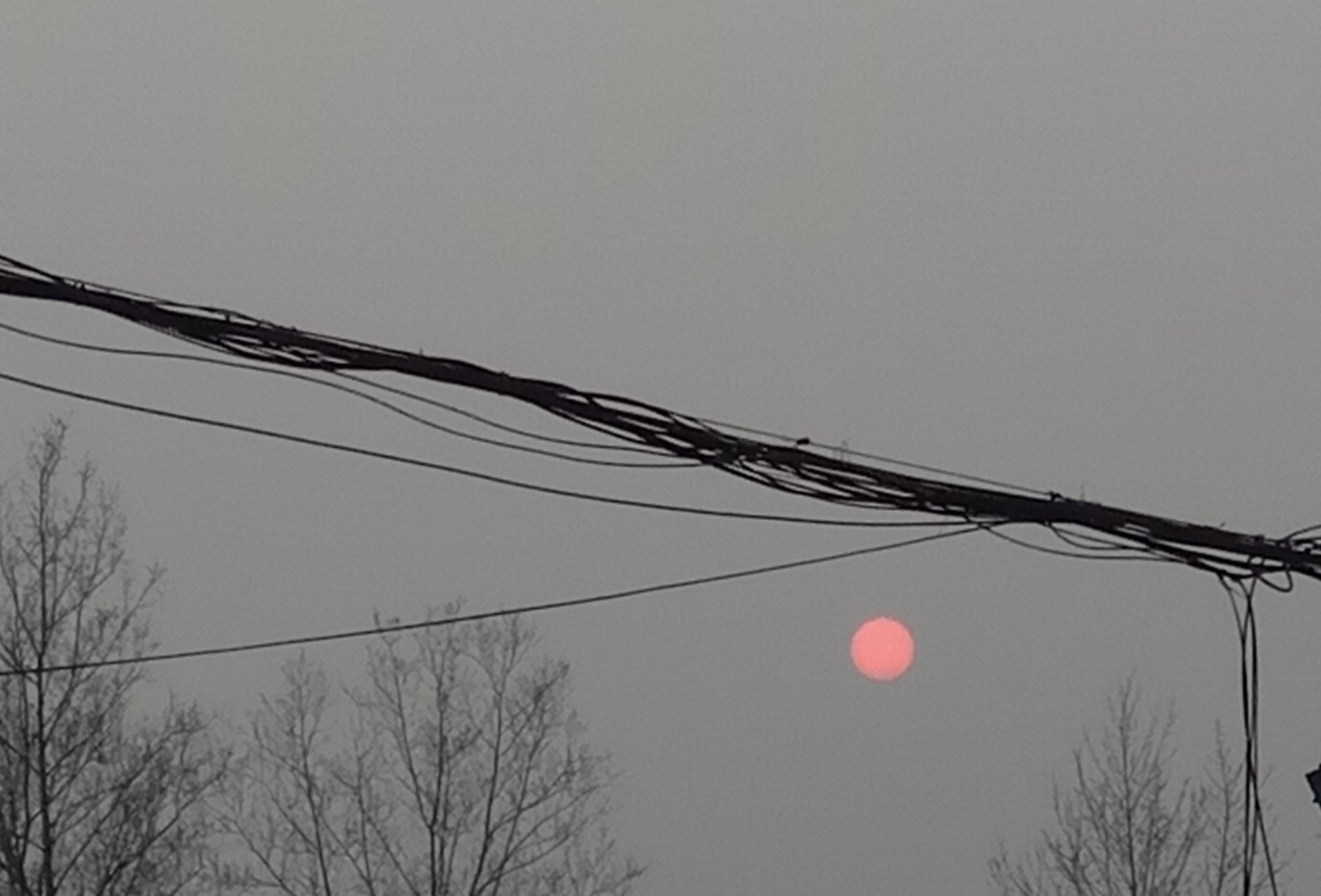 Red Sun